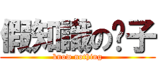 假知識の份子 (know nothing)