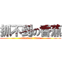 抓不到の香蕉 (attack on titan)