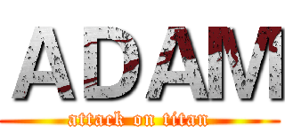 ＡＤＡＭ (attack on titan)