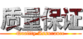 质量保证 (Quality Assurance)