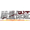 质量保证 (Quality Assurance)