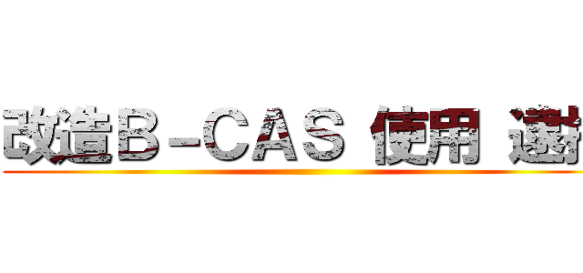 改造Ｂ－ＣＡＳ 使用 逮捕 ()
