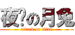 夜晚の月兔 (attack on titan)