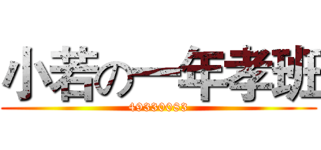 小若の一年孝班 (49330083)