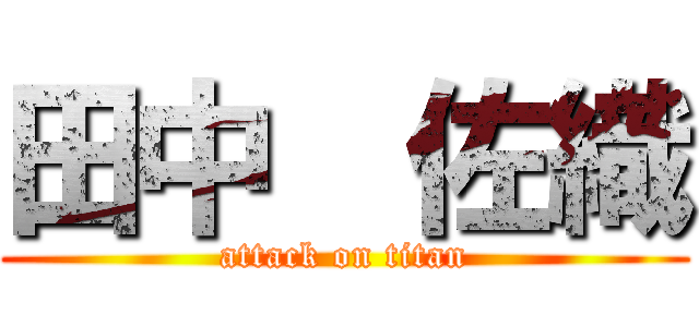 田中  佐織 (attack on titan)