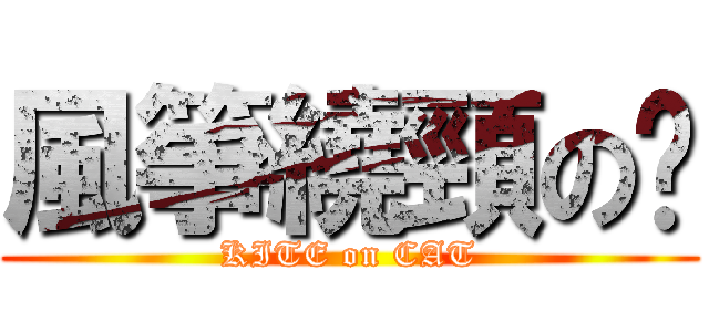 風箏繞頸の貓 (KITE on CAT)