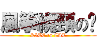 風箏繞頸の貓 (KITE on CAT)