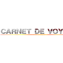 ＣＡＲＮＥＴ ＤＥ ＶＯＹＡＧＥ (devoir de français )