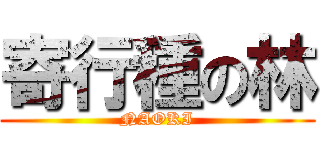 寄行種の林 (NAOKI)