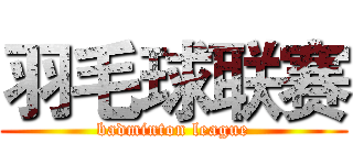 羽毛球联赛 (badminton league)