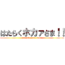 はたらくホカァさま！！ ( hataraku hoka-sama  )