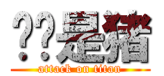 璐璐是猪 (attack on titan)