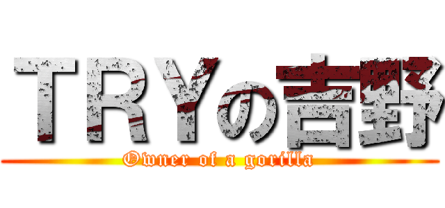 ＴＲＹの吉野 (Owner of a gorilla)