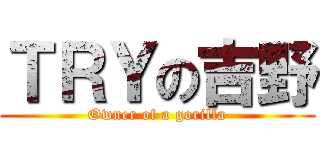 ＴＲＹの吉野 (Owner of a gorilla)