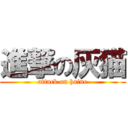 進撃の灰猫 (attack on haine)