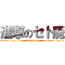 進撃のセト廃 (momoka)