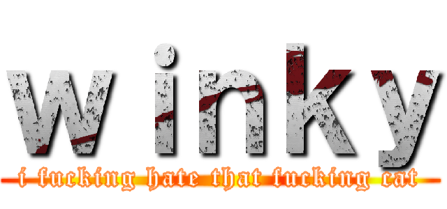 ｗｉｎｋｙ (i fucking hate that fucking cat)