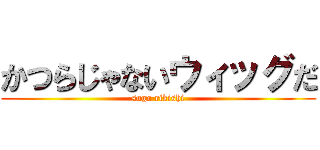 かつらじゃないウィッグだ (sogo rikishi)