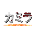 カミラ (Mi habitación )