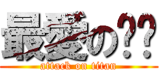 最愛の貓咪 (attack on titan)