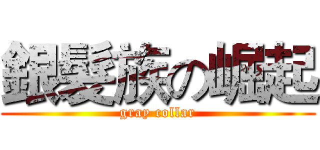銀髮族の崛起 (gray collar)