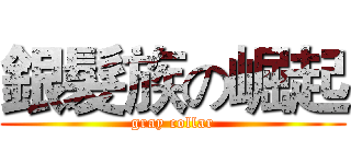 銀髮族の崛起 (gray collar)