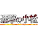 進撃の小松 (King  of  bottom)