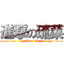 進撃の琉菜 (Runa.M)