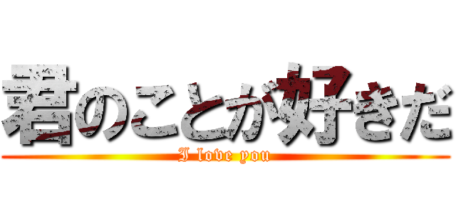 君のことが好きだ (I love you)