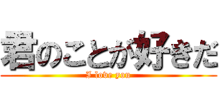 君のことが好きだ (I love you)