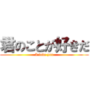 君のことが好きだ (I love you)