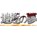 追逐の夢 (喬巴軍)