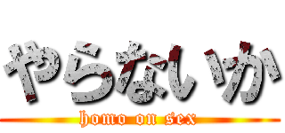 やらないか (homo on sex)