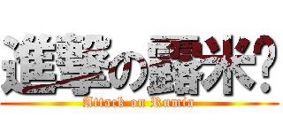 進撃の露米娅 (Attack on Rumia)