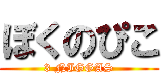 ぼくのぴこ (3 NIGGAS)