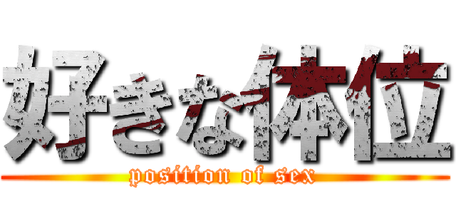 好きな体位 (position of sex)