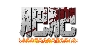 肥肥 (123456789987654321)