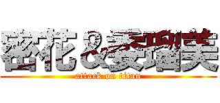 密花＆委瑠美 (attack on titan)