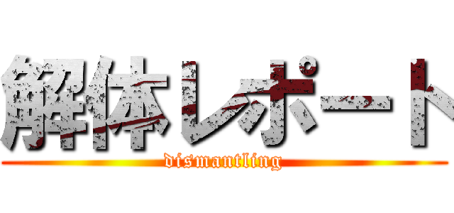 解体レポート (dismantling)