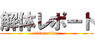 解体レポート (dismantling)