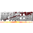 摩爾莊園 (無敵讚)