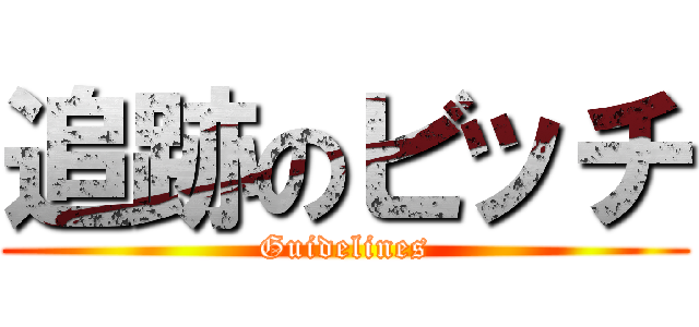 追跡のビッチ (Guidelines)