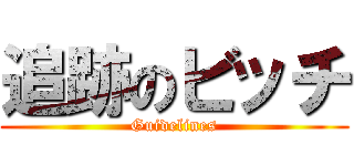 追跡のビッチ (Guidelines)