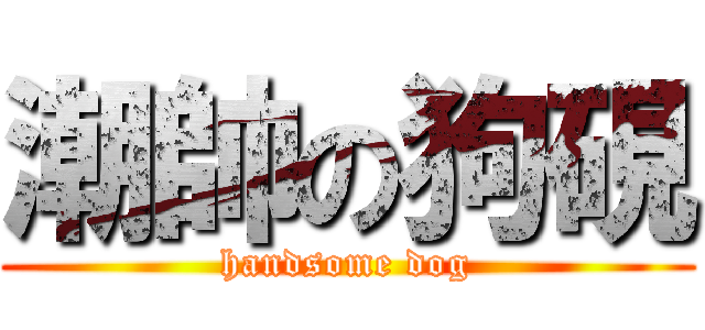 潮帥の狗硯 (handsome dog)