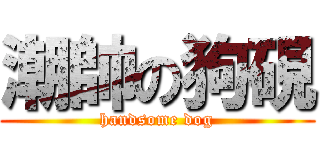 潮帥の狗硯 (handsome dog)
