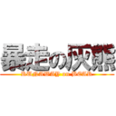 暴走の灰熊 (RUNAWAY on BEAR)
