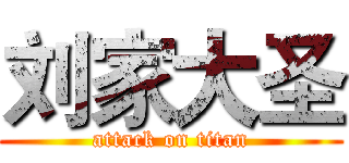 刘家大圣 (attack on titan)
