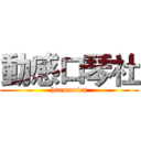 動感口琴社 (harmonica)