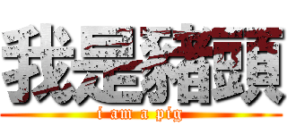 我是豬頭 (i am a pig)