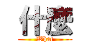 什麼 (What)